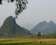 和平后天天气