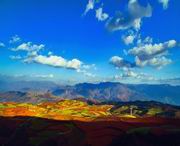 东川后天天气